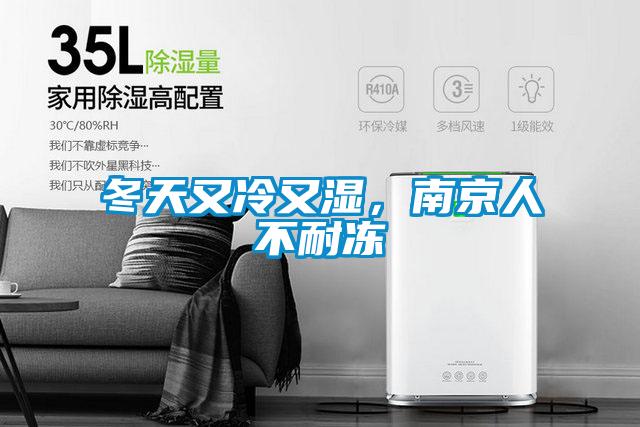 冬天又冷又濕,南京人不耐凍