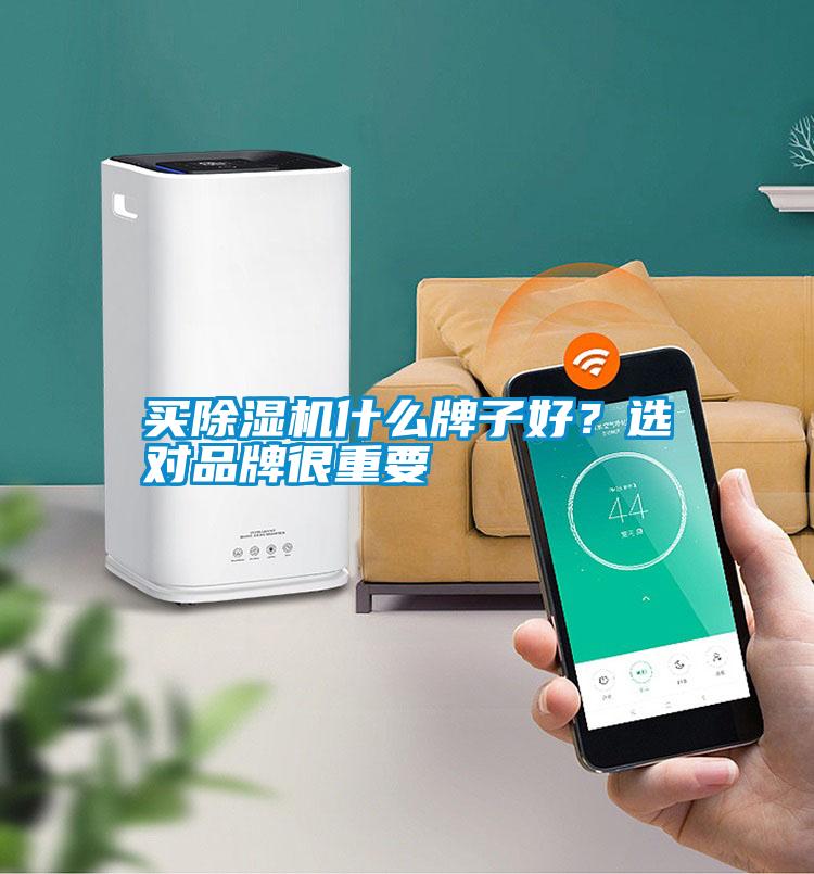 買除濕機什么牌子好？選對品牌很重要