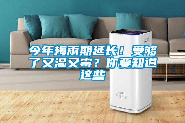 今年梅雨期延長!受夠了又濕又霉?你要知道這些