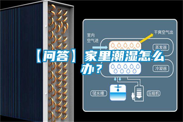 【問答】家里潮濕怎么辦？