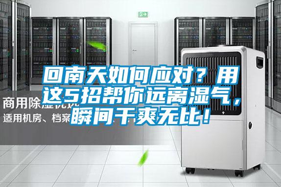 回南天如何應(yīng)對？用這5招幫你遠離濕氣，瞬間干爽無比！