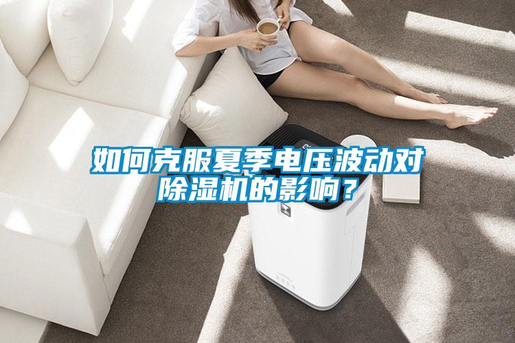 如何克服夏季電壓波動對除濕機的影響?