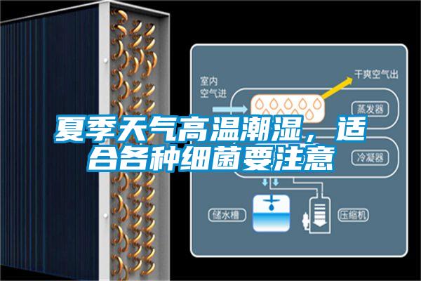 夏季天氣高溫潮濕,適合各種細(xì)菌要注意