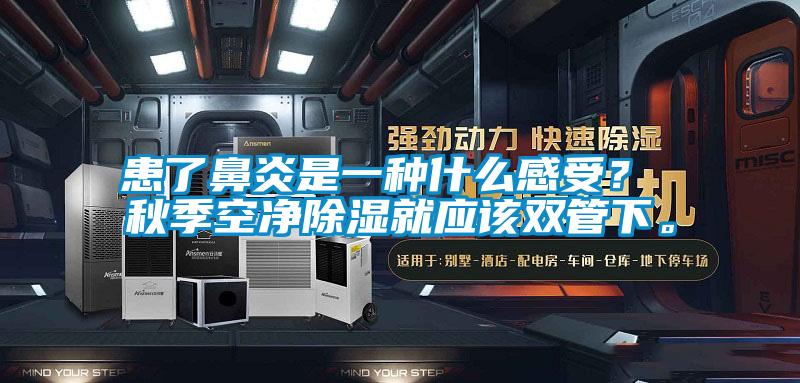 患了鼻炎是一種什么感受? 秋季空凈除濕就應該雙管下。