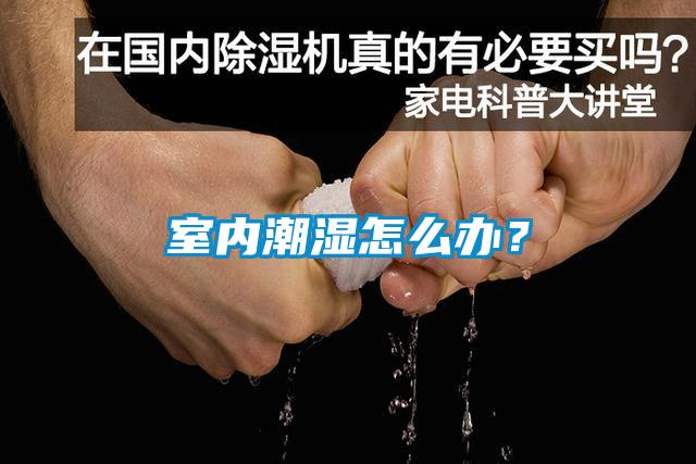 室內潮濕怎么辦?