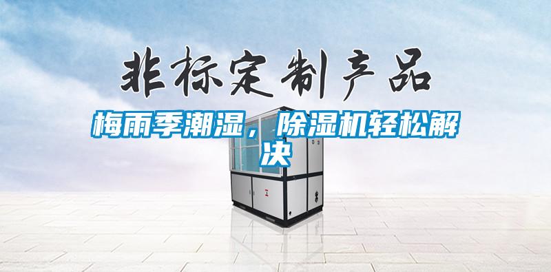 梅雨季潮濕，除濕機輕松解決