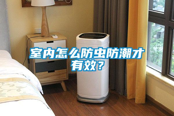 室內(nèi)怎么防蟲防潮才有效？