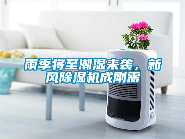 雨季將至潮濕來(lái)襲,新風(fēng)除濕機(jī)成剛需