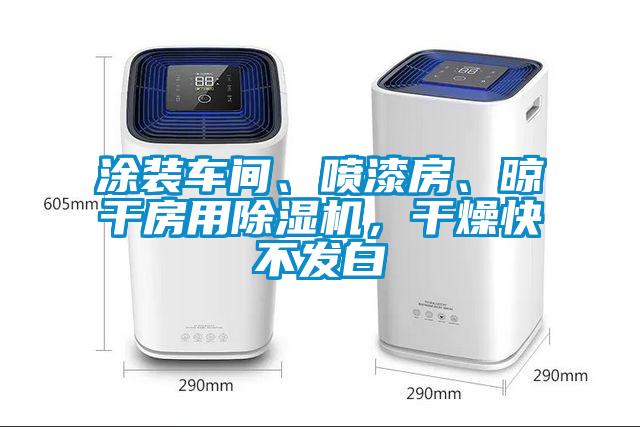 涂裝車間、噴漆房、晾干房用除濕機,干燥快不發白