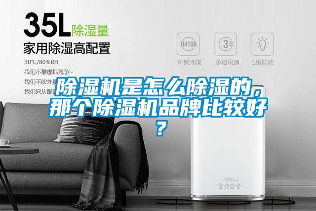 除濕機(jī)是怎么除濕的，那個(gè)除濕機(jī)品牌比較好？