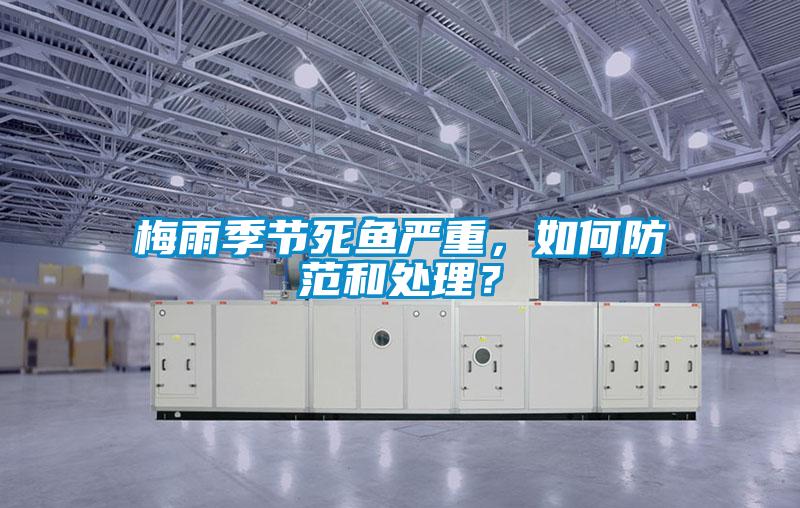梅雨季節死魚嚴重,如何防范和處理?