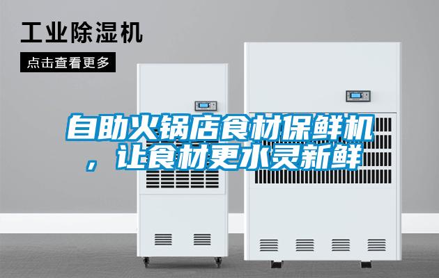 自助火鍋店食材保鮮機(jī)，讓食材更水靈新鮮