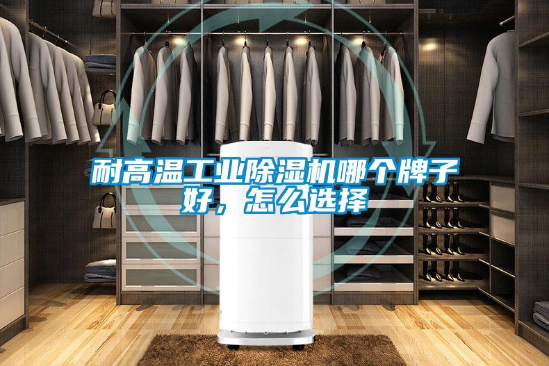耐高溫工業(yè)除濕機(jī)哪個(gè)牌子好,怎么選擇