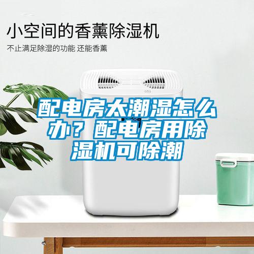 配電房太潮濕怎么辦?配電房用除濕機可除潮