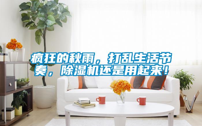 瘋狂的秋雨，打亂生活節(jié)奏，除濕機還是用起來！