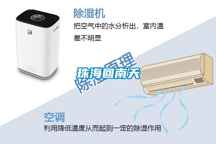 珠?；啬咸?/></p>
						    <p style=