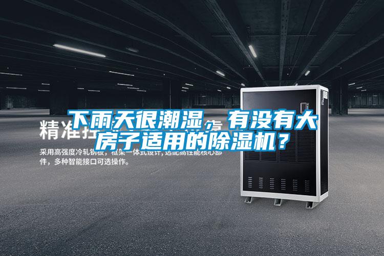 下雨天很潮濕，有沒有大房子適用的除濕機？