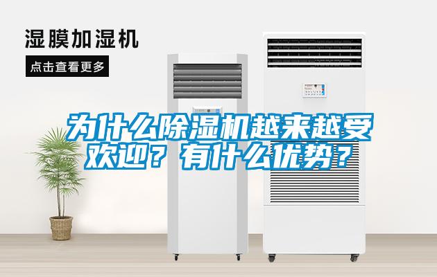 為什么除濕機(jī)越來(lái)越受歡迎?有什么優(yōu)勢(shì)?