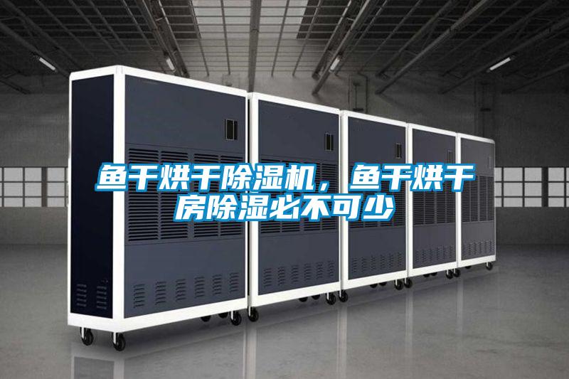 魚干烘干除濕機，魚干烘干房除濕必不可少