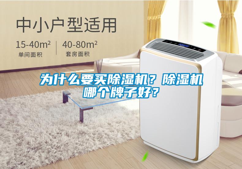 為什么要買除濕機？除濕機哪個牌子好？