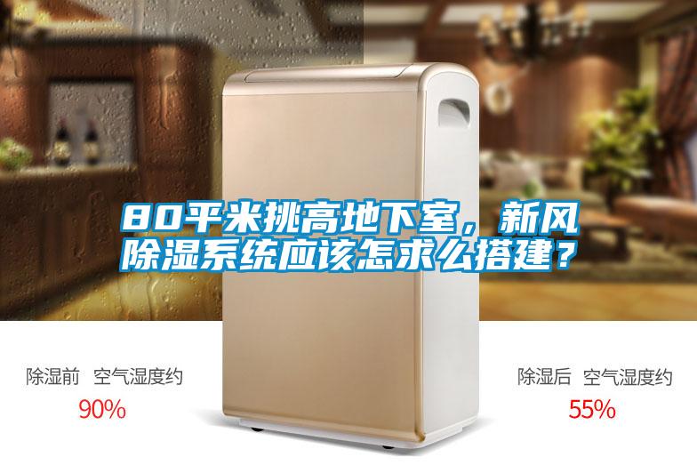 80平米挑高地下室，新風(fēng)除濕系統(tǒng)應(yīng)該怎求么搭建？
