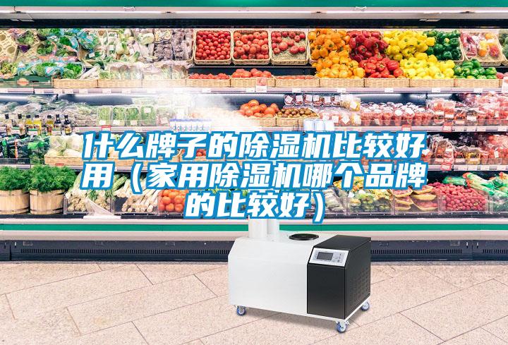 什么牌子的除濕機比較好用(家用除濕機哪個品牌的比較好)