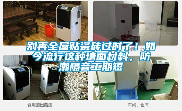 別再全屋貼瓷磚過時了！如今流行這種墻面材料，防潮隔音工期短