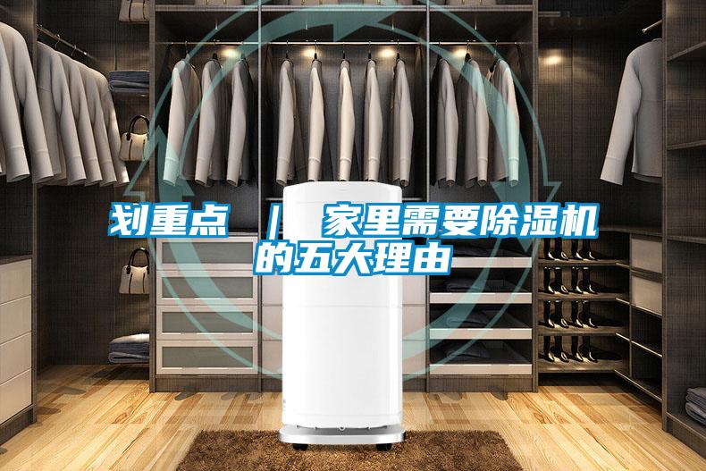 劃重點(diǎn) | 家里需要除濕機(jī)的五大理由
