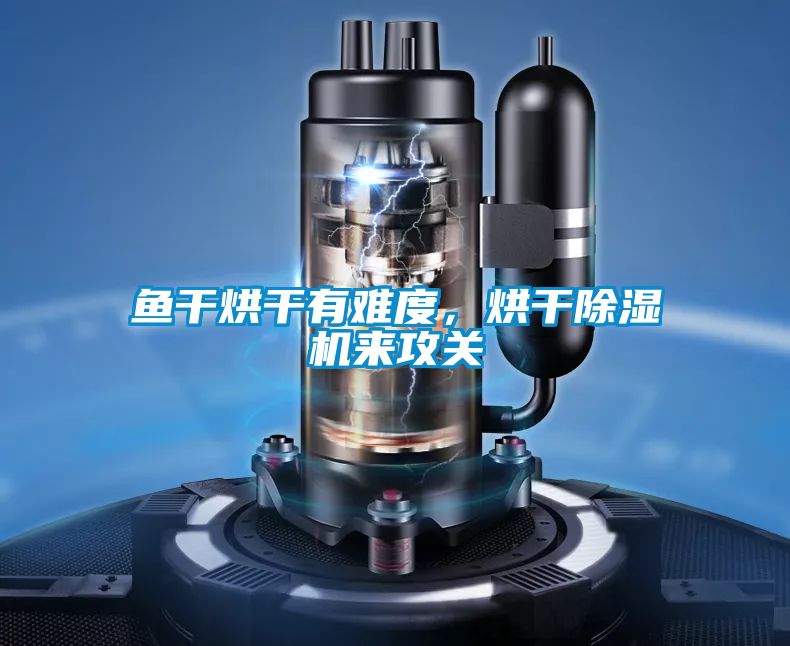魚干烘干有難度，烘干除濕機(jī)來(lái)攻關(guān)